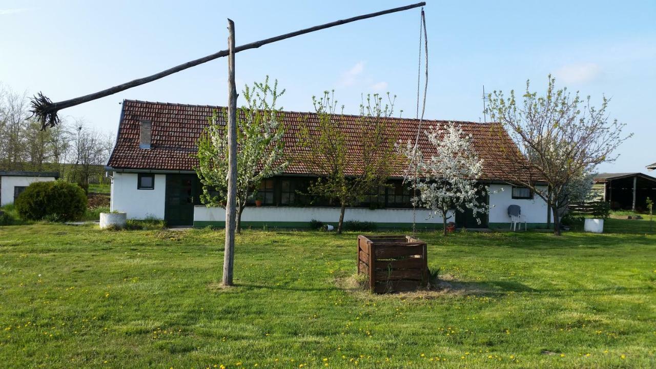 Etno Salas - Etno Ranch - Seosko Turisticko Domacinstvo Villa Palic Exterior photo
